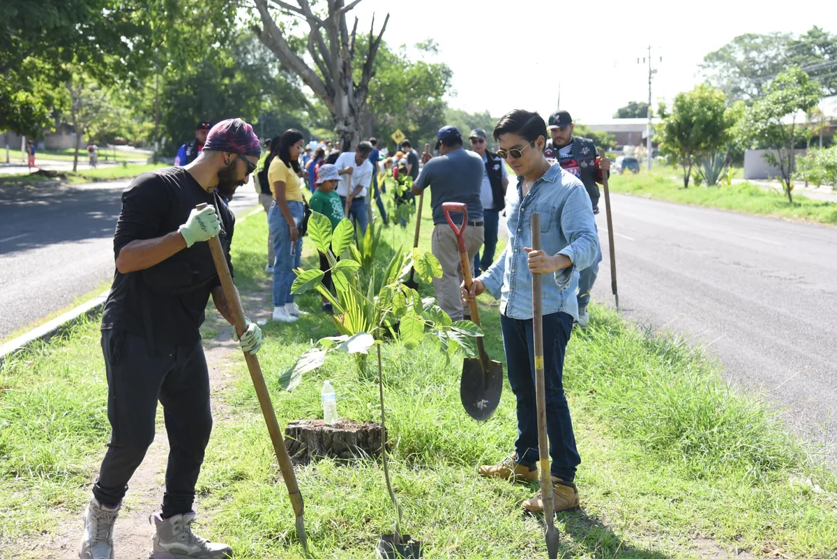 Personas sembrando árboles con palas en una zona verde junto a una vía